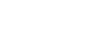 daman logo white png